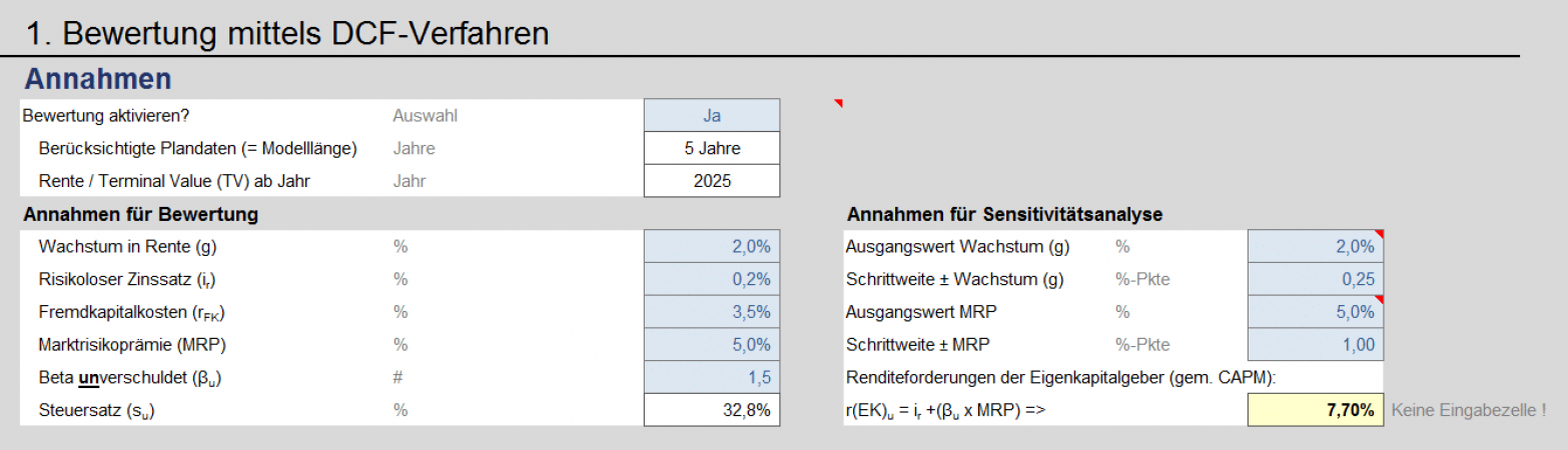 Discounted Cashflow Verfahren - Annahmen