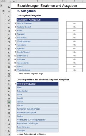 Ausgaben-Kategorien individuell benennen